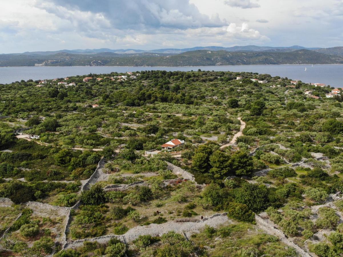 Vila Lila Mali Drvenik Eksteriør bilde